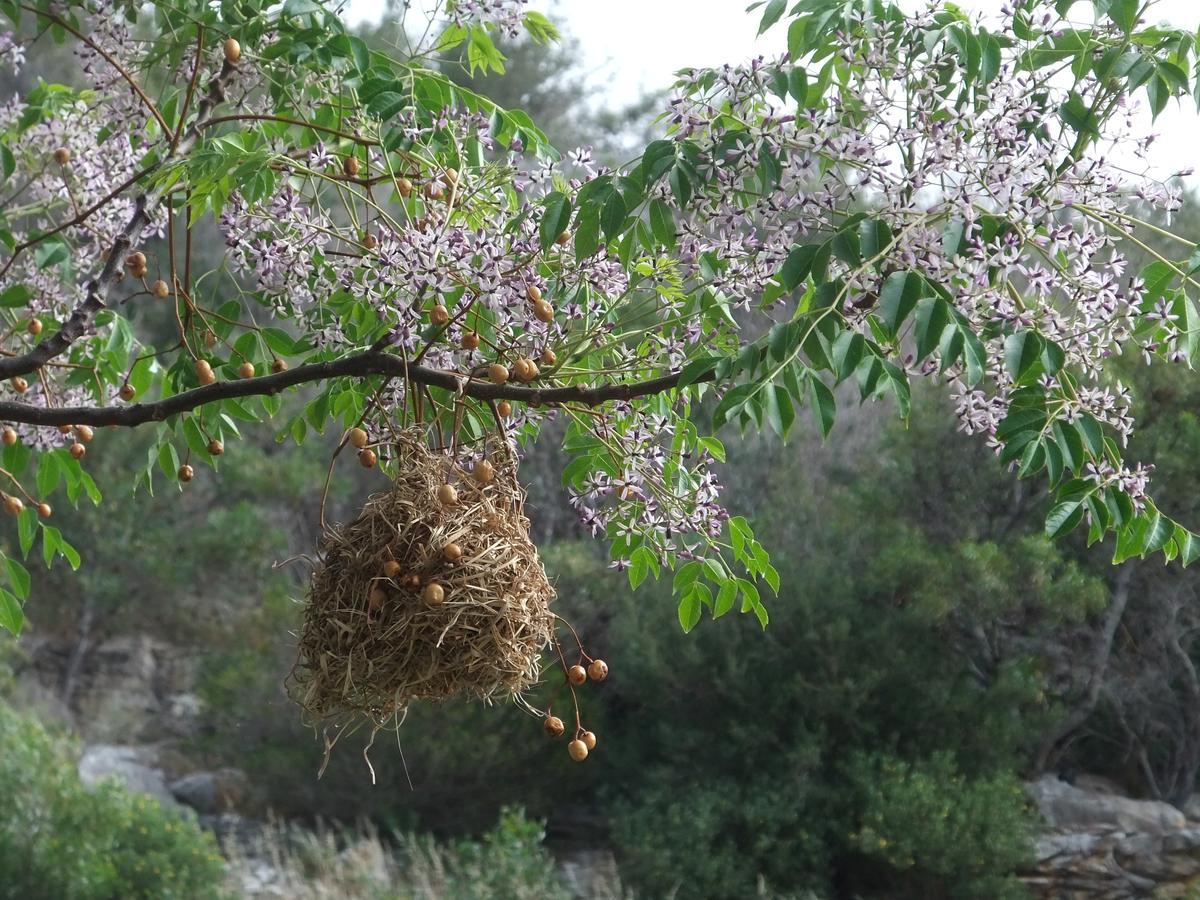 Makapa Lodge كيب تاون المظهر الخارجي الصورة