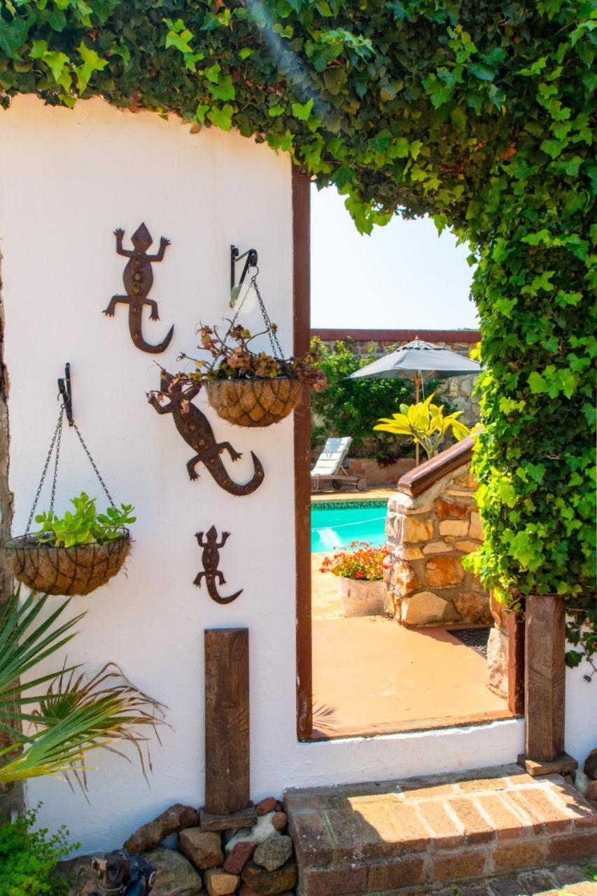 Makapa Lodge كيب تاون المظهر الخارجي الصورة