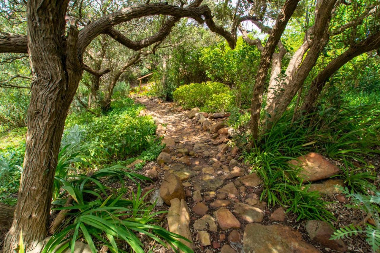 Makapa Lodge كيب تاون المظهر الخارجي الصورة