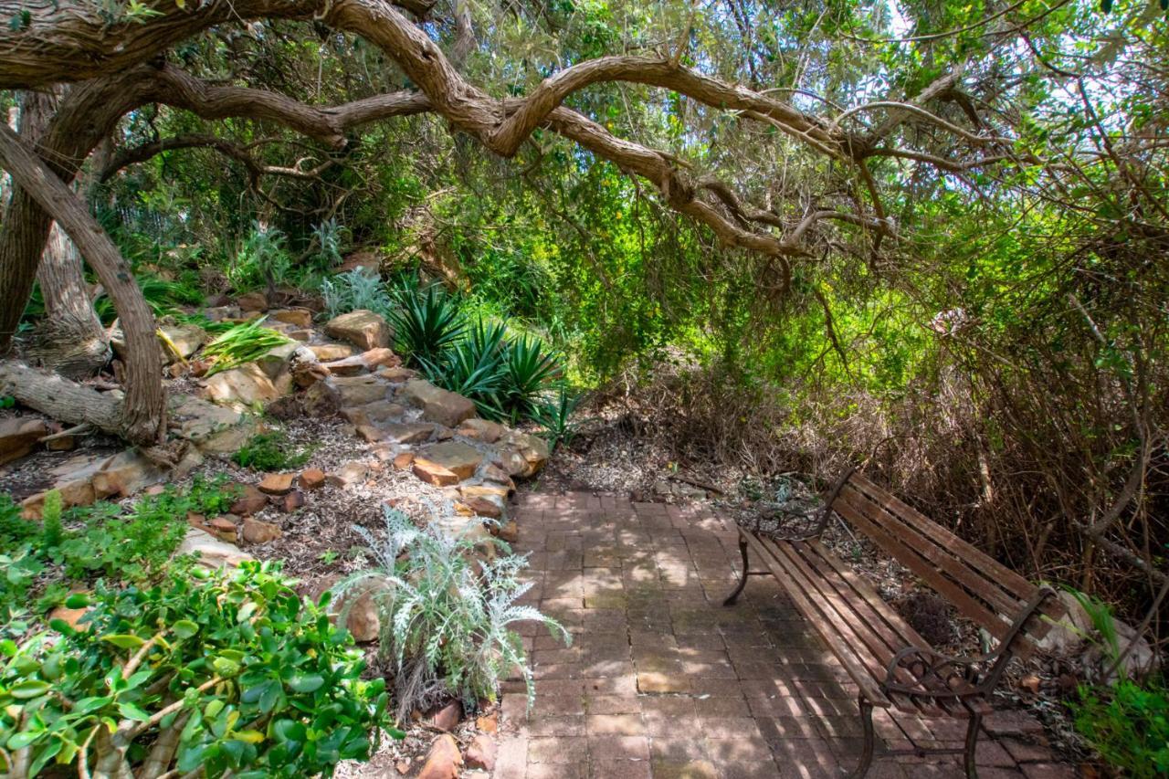 Makapa Lodge كيب تاون المظهر الخارجي الصورة
