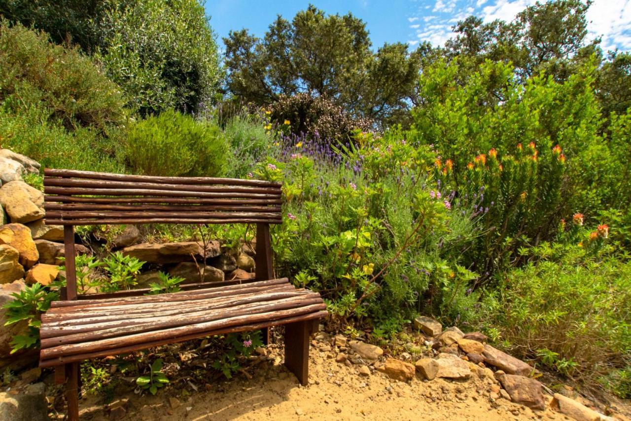 Makapa Lodge كيب تاون المظهر الخارجي الصورة