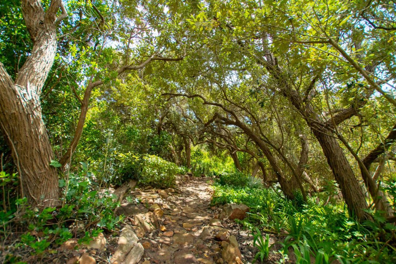 Makapa Lodge كيب تاون المظهر الخارجي الصورة