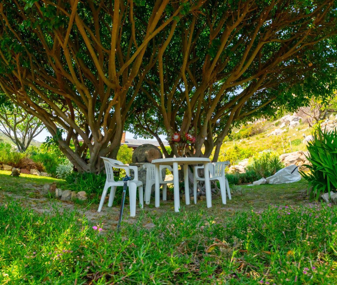 Makapa Lodge كيب تاون المظهر الخارجي الصورة
