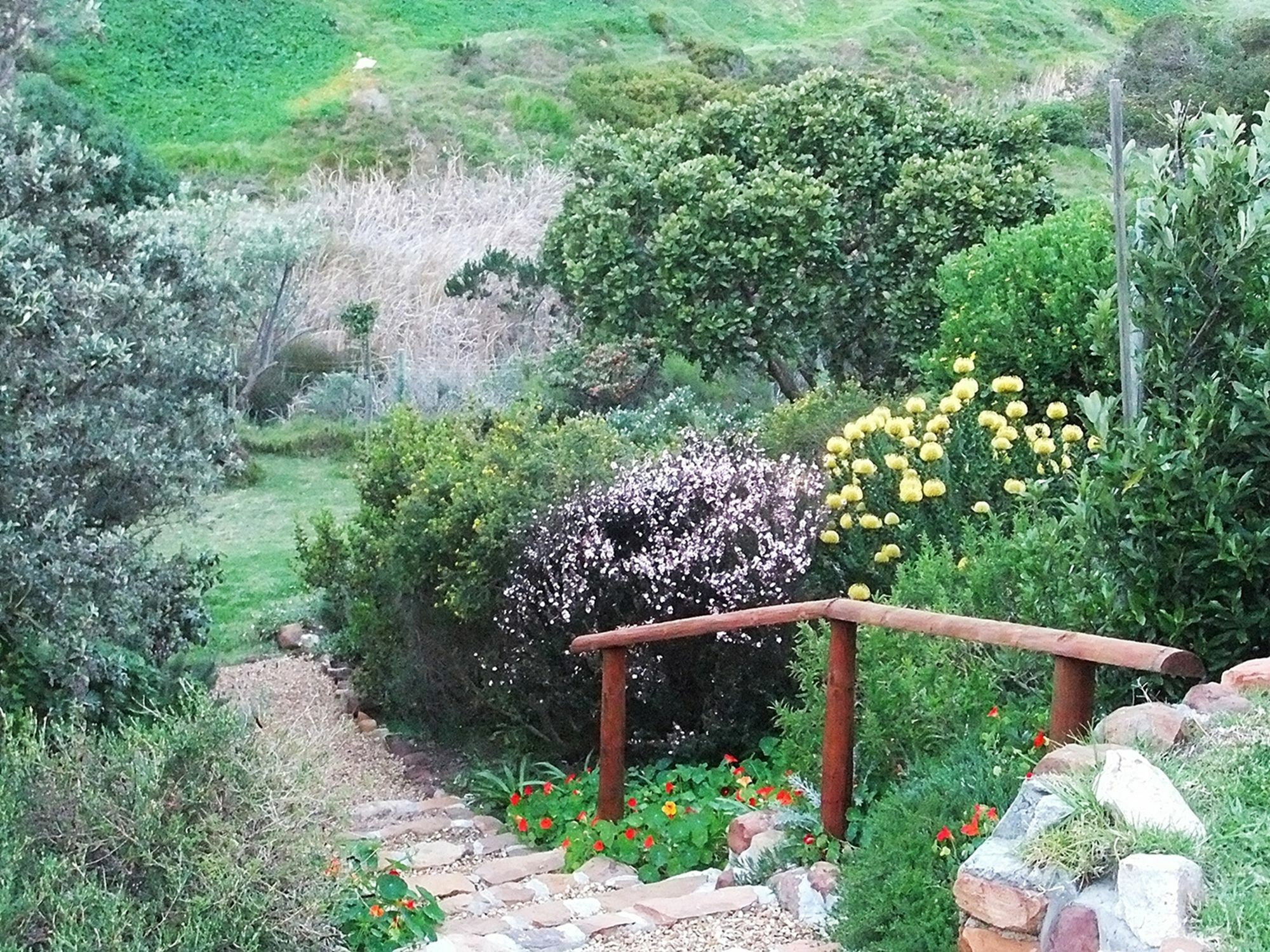 Makapa Lodge كيب تاون المظهر الخارجي الصورة