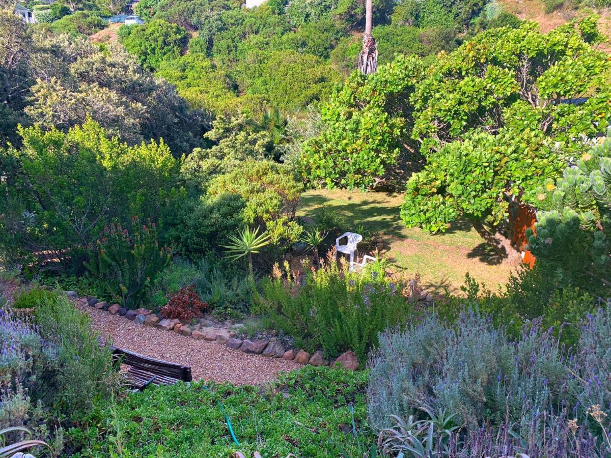 Makapa Lodge كيب تاون المظهر الخارجي الصورة