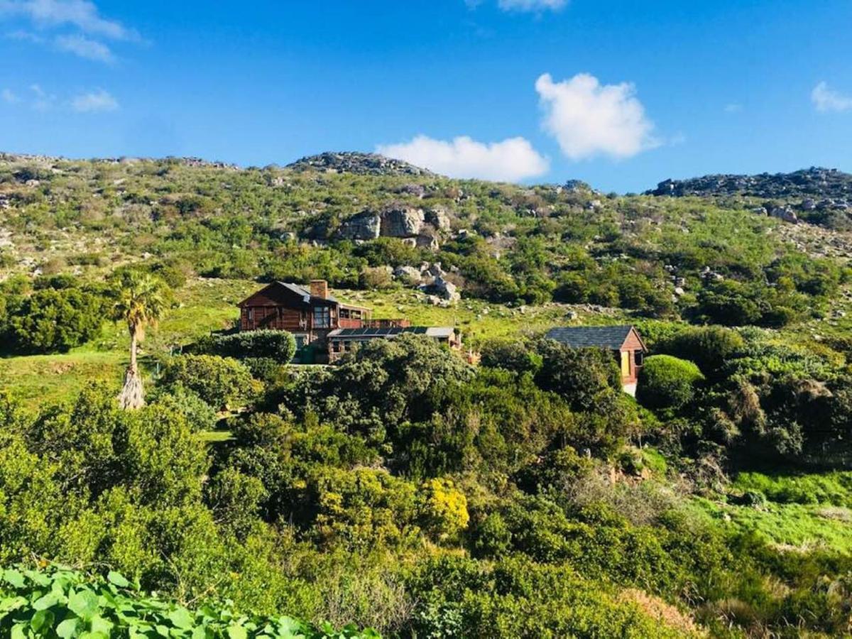 Makapa Lodge كيب تاون المظهر الخارجي الصورة
